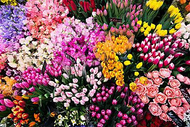 Switch 2发售首批用户迎新 官方严禁配送放置