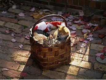 Steam最新一周销量榜 《流放之路2》二连冠